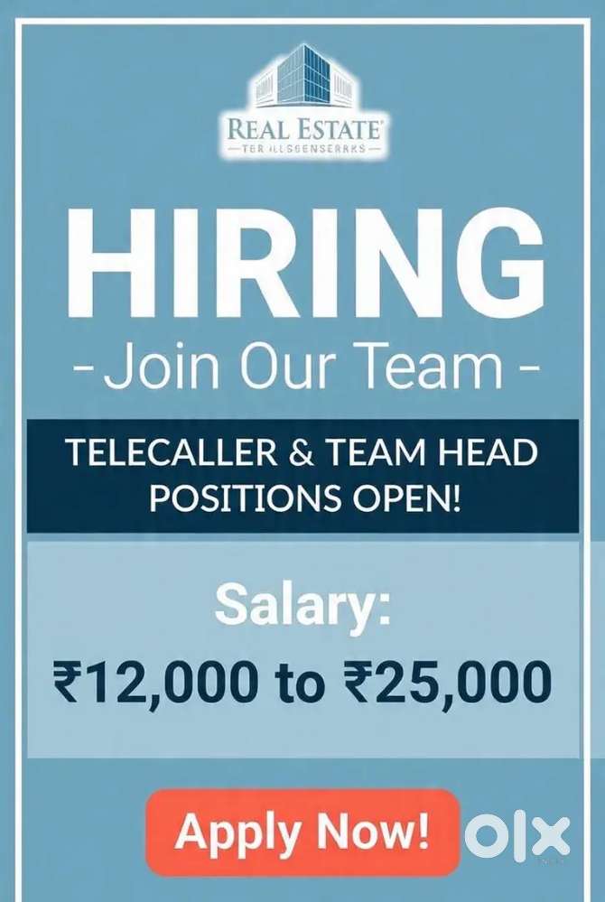 Real Estate,Sales Executive & BDM