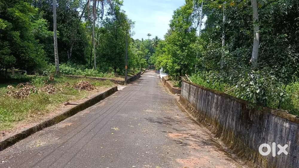 RESIDENTIAL PLOTS   FOR SALE NEAR ALUVA ATHANI VATTAPARMBU , 4, 5,6..