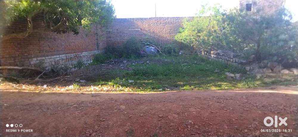 1500 Sq Feet plot available for sale in pinto park
