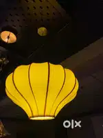 New Hanging Light