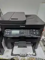 Canon 244DW