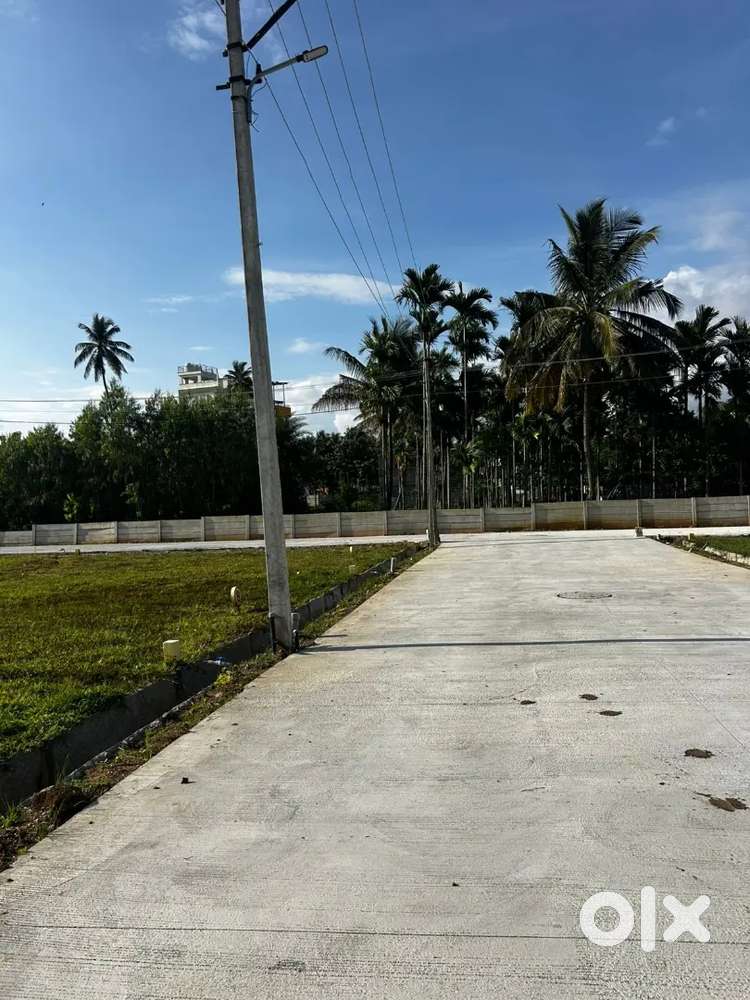 Newly build plots for sale
