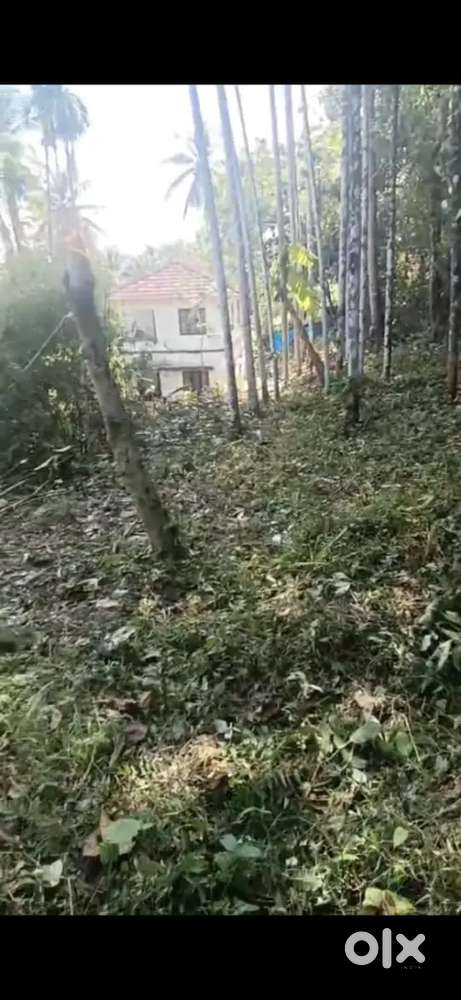 20 cent land for sale in karanthur