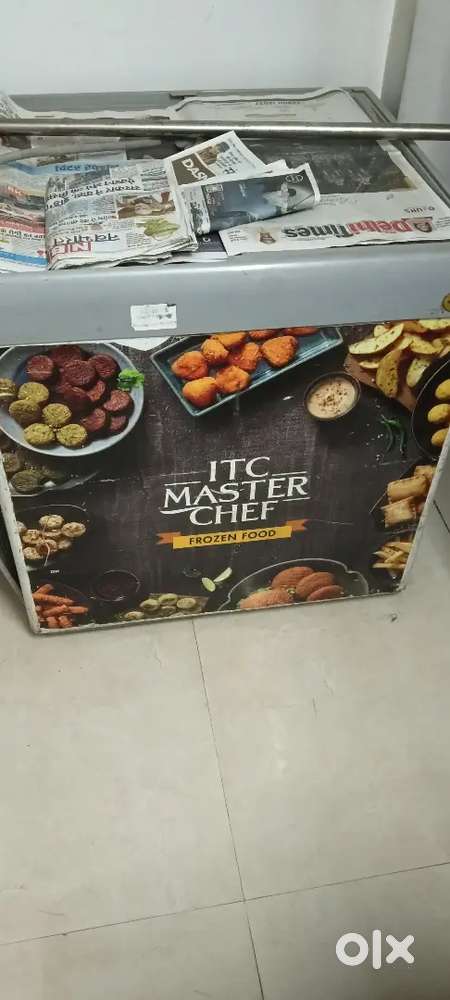 Deep freezer 300 LTR