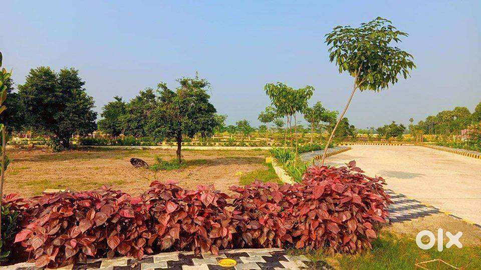 Own Your Dream Plots at Prime Location