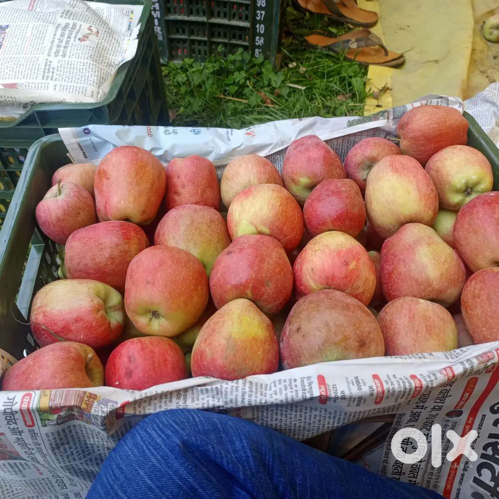 Mandi samiti fruit shop