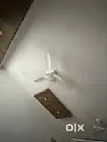 2bhk fully furnished