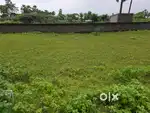 Open plot for sale in Madikonda to Dharmasagar highway Road