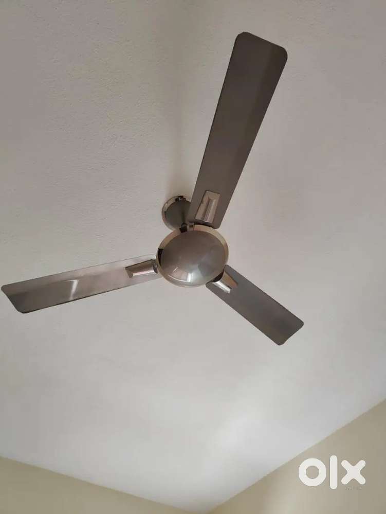 2 Crompton Aura prime
