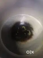 Idliy Vada dosa Puri Pongal sambar