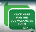 NO EXPERIENCE REQUIRED