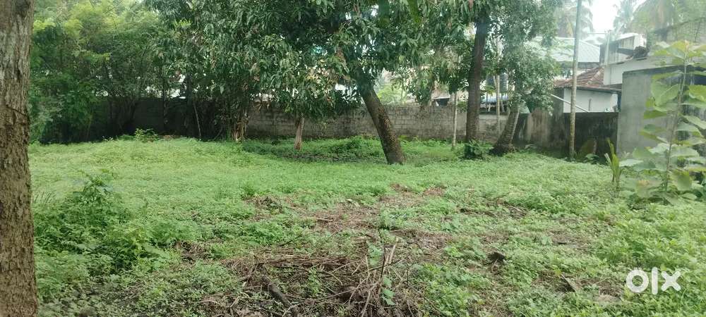 10 Cent plot for Sale