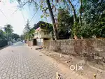 Kalamassery metro 100metr 24cent plot posh area cent 24lakh