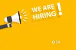 US IT recruiter