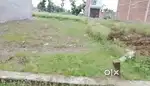3.5 biswa plot