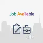 Data entry work using word and excel
