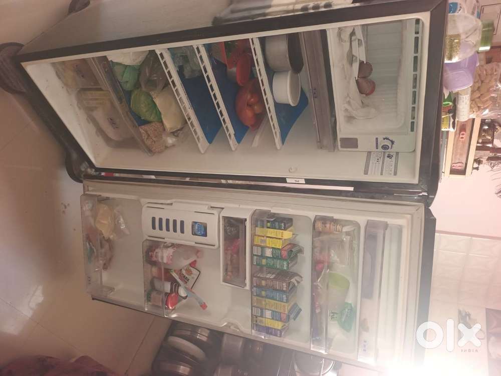 Wilfhool fridges