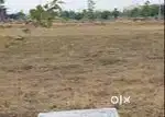 Planet city sankracharya campus ke ander
