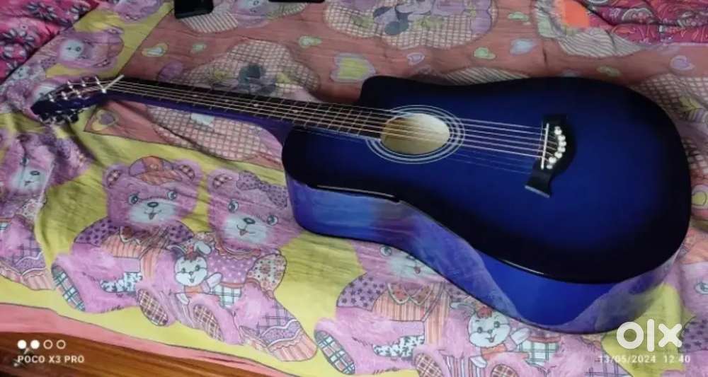 Blueberry guitar