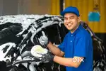 Need a professional car washer