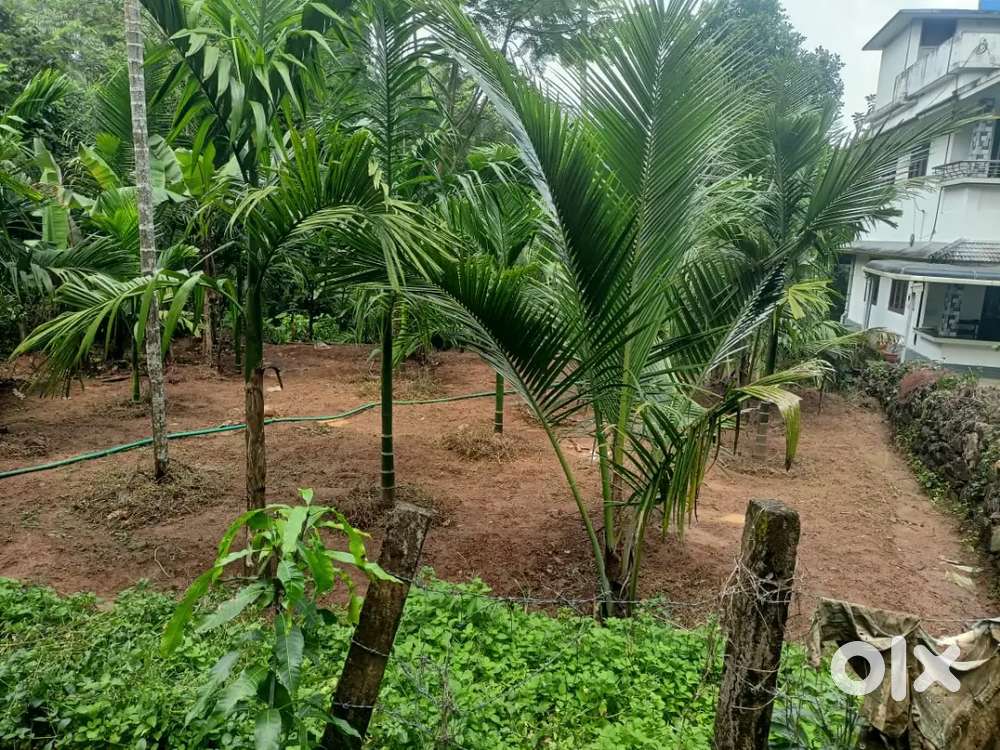 Land for sale at karalmanna, near cherpuasseri