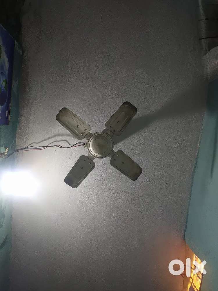 Celling fan