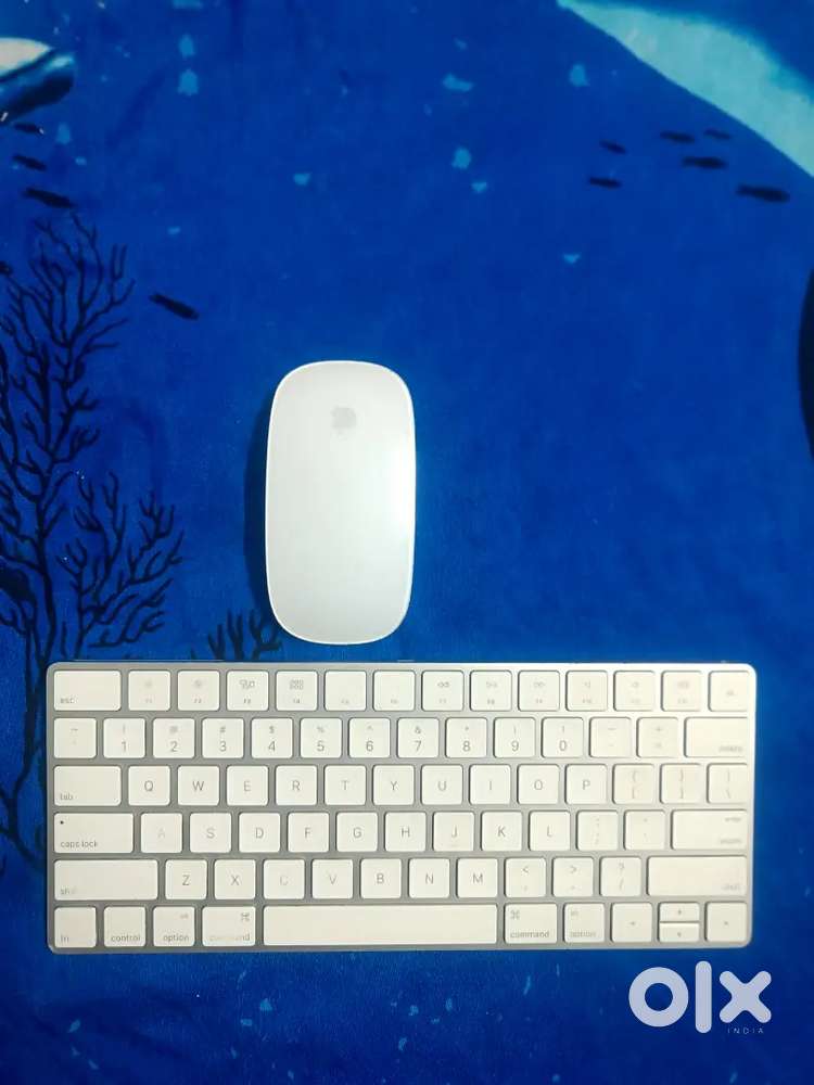 Apple Magic Mouse 2 and Keyboard 2