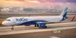 APPLY URGENT AIRPORT JOBS INDIGO AIRLINES GROUND STAFF & CABIN CREW
