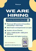 Business Development Executive