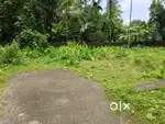 5.1 cent house plot for sale in kanjoor,near airport,aluva,Angamaly