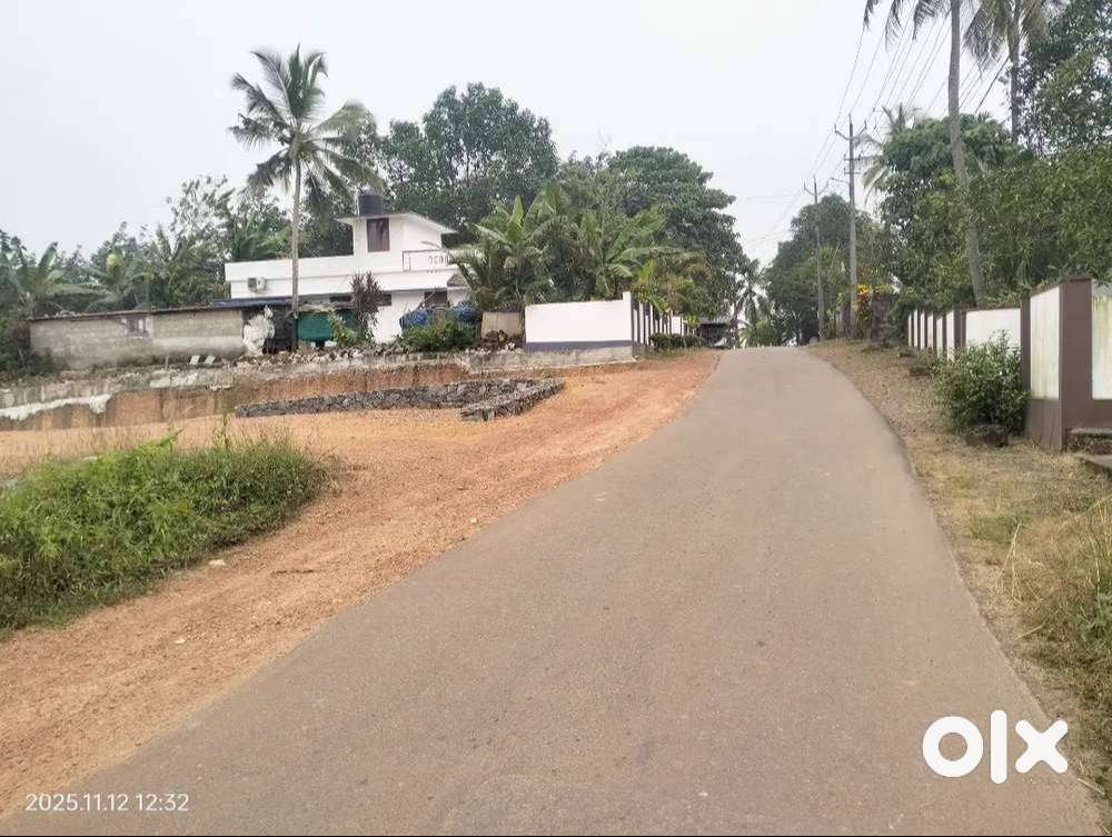 PREMIUM HOUSE PLOTS  12 CENTS PLOT  palakkad town   COMMERCIAL / RESID