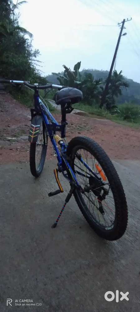 ROADEO max