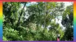 50 Cent Land  only 20 Lakhs