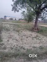 2.5 मंड़ा ज़मीन बिकाऊ है, Sunbeam School Alinagar से 200 मीटर दूर l