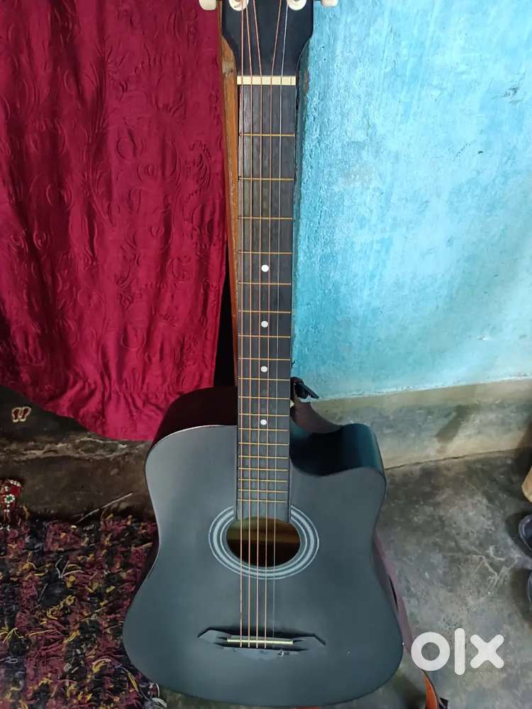 Guiter reveal company