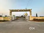 SINDHOOR Y.G NATURE PLOTS