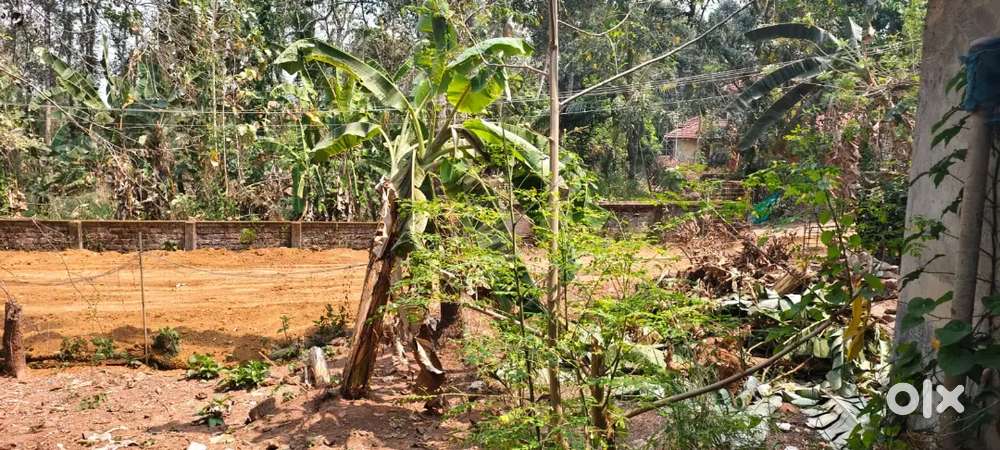 25cents of land in Mc road