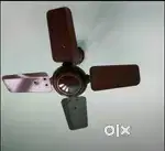 Cealing Fan