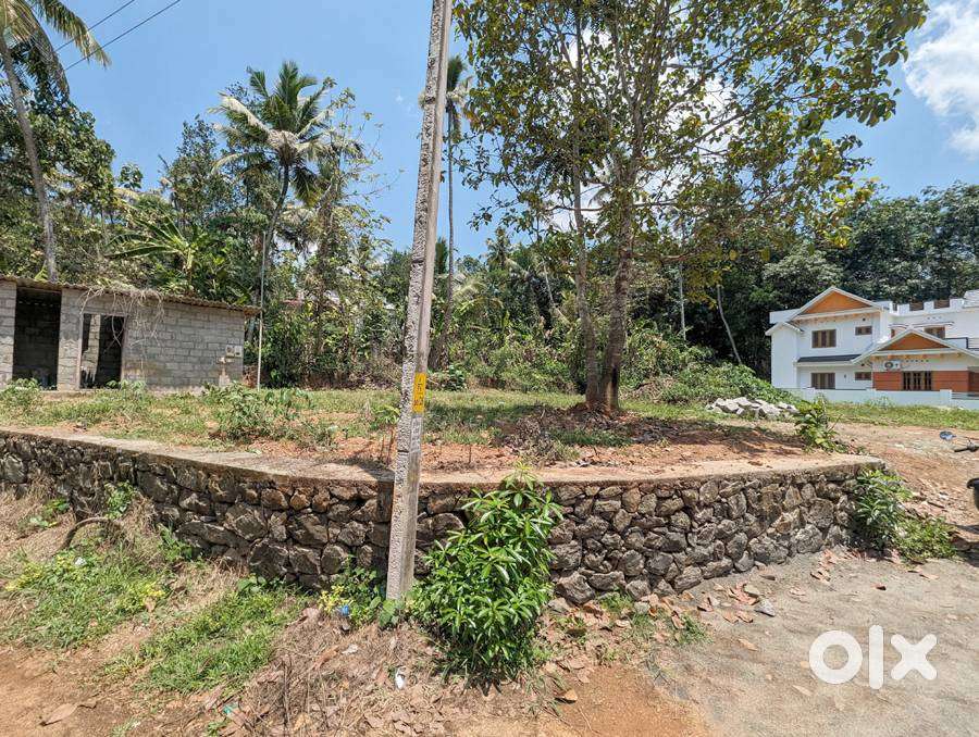 House plot 21 cents at Kuruppumthara 1.40 lakh/cent