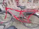 Used half year
