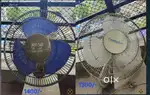 Wall fan REMI & CROMPTON