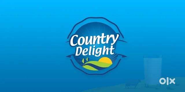 Country delight milk delivery job