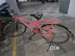 Cycle for sale