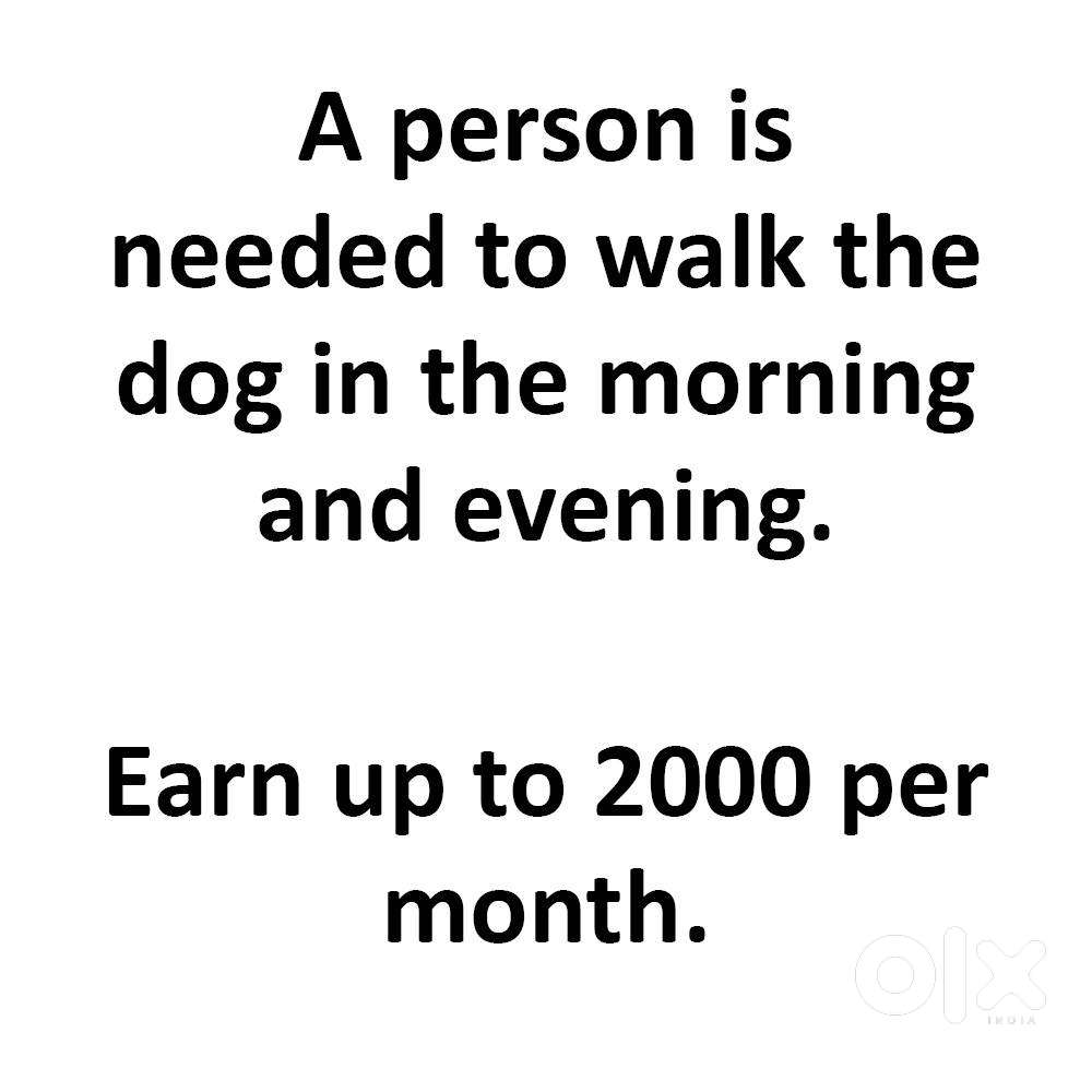 A person is  needed to walk the dog