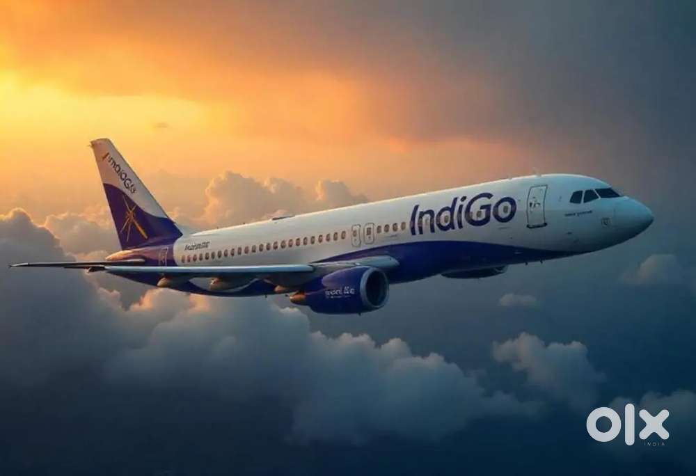 Indigo Airlines apply fast and join us