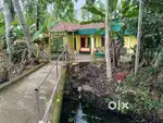 Old house and 22 cent land