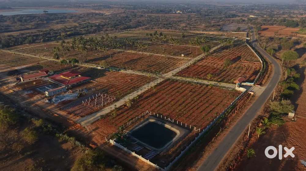 Managed Farmland with Gated community