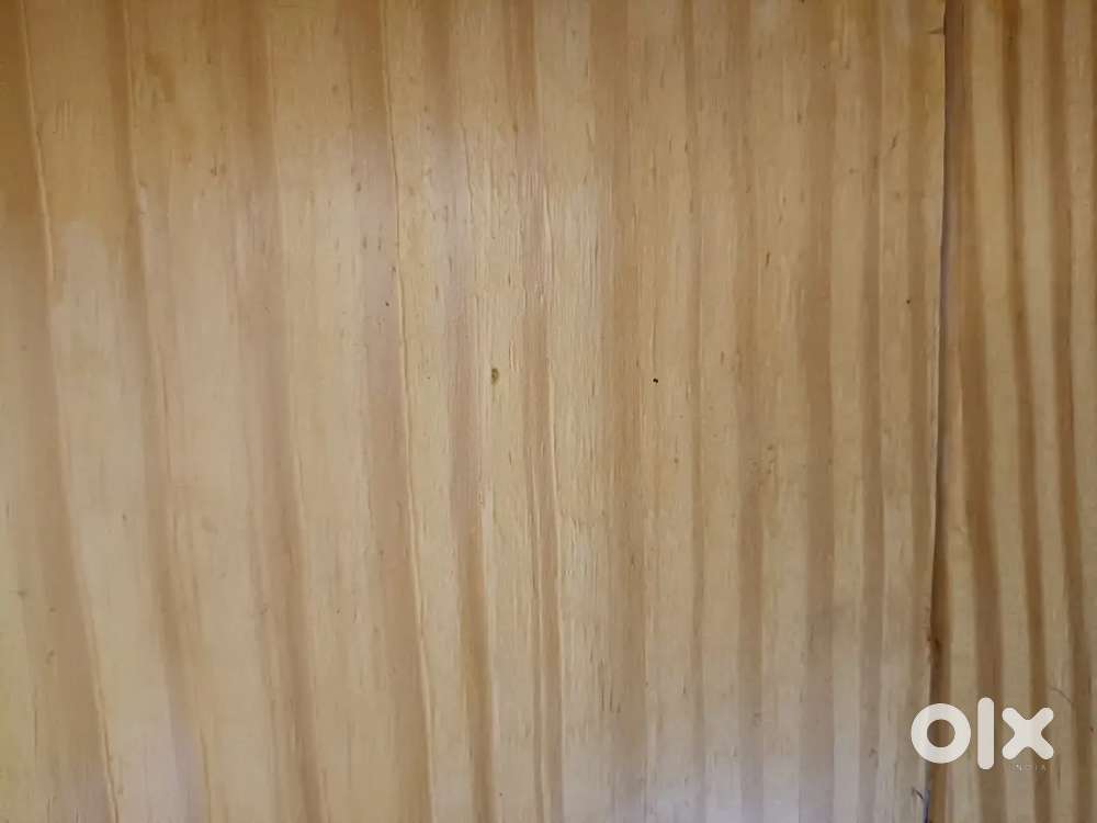 Male/female,  counter sales staff needed for shop