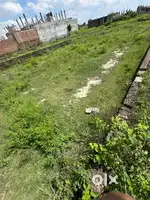 Plot for sale 1200/-RS SQF FAIZULLAHGANJ DAUDNAGAR