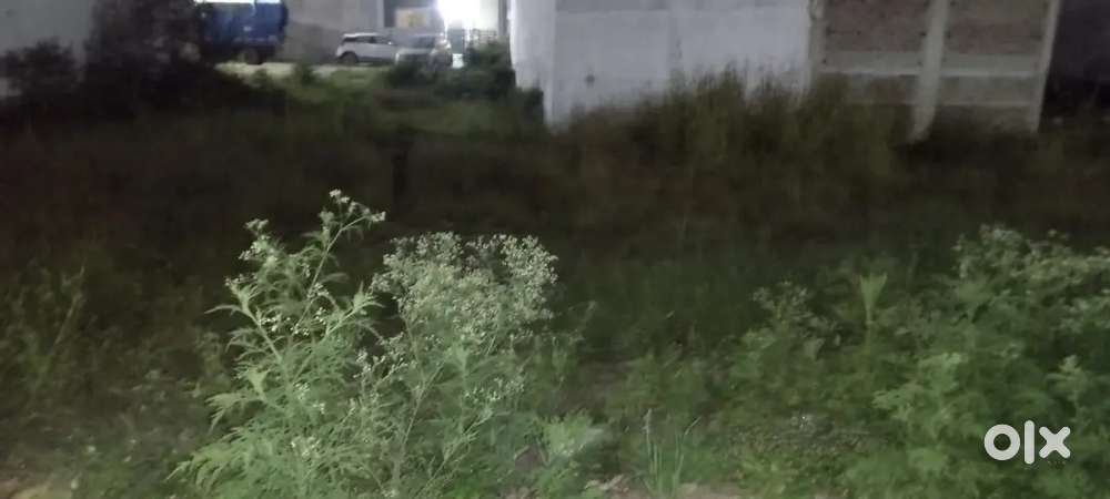 Caps town  near hp patrol pump